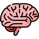 Brain