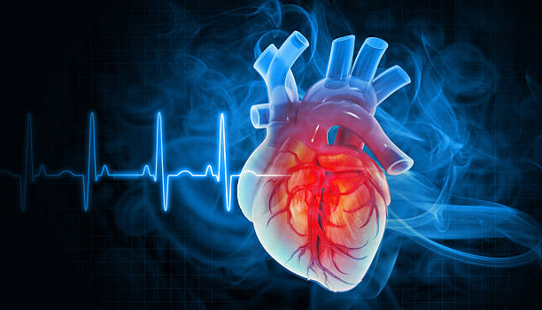 Heart Health Package